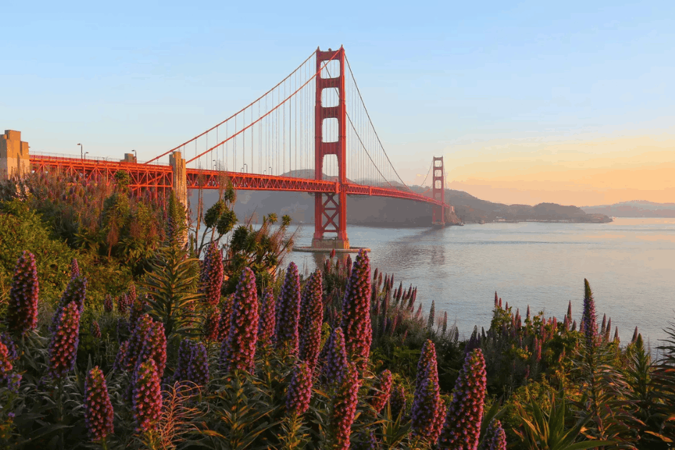 San Francisco
